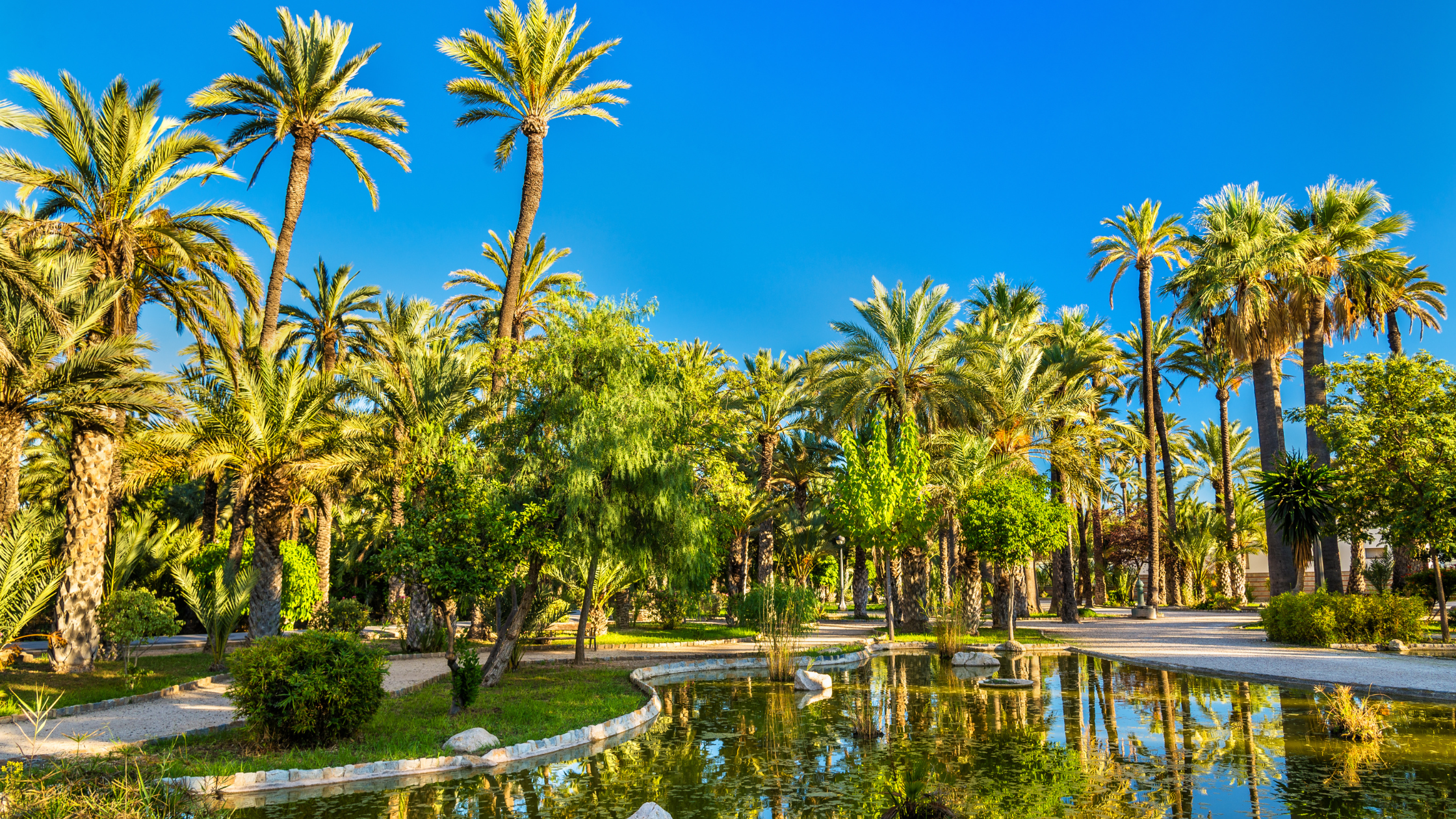 Parque El Palmeral, Elche.